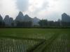 Mountains & Rice Fields